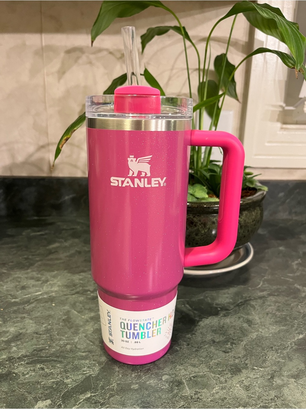 *NWT* Stanley Stainless Steel H2.0 Flowstate Quencher Tumbler 30 oz